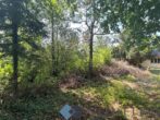 Rarität - Grundstücke in Ruhelage an der Grenze Wiens zu verkaufen! - Foto