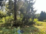Rarität - Grundstücke in Ruhelage an der Grenze Wiens zu verkaufen! - Foto