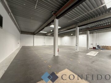 Toplage im Indurstriegebiet Inzersdorf – Großzügige Gewerbehalle mit vielseitiger Nutzunsmöglichkeit, 1230 Wien, Halle