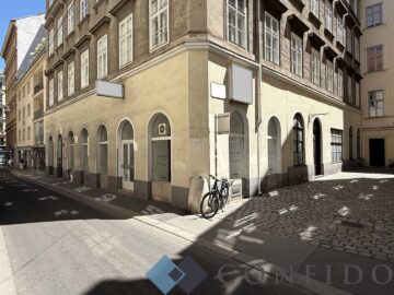 TOPLAGE im historischen Zentrum Wiens – Einzigartige Büro- oder Geschäftsfläche – 311 m² flexibel gestaltbar, 1010 Wien, Büro/Praxis